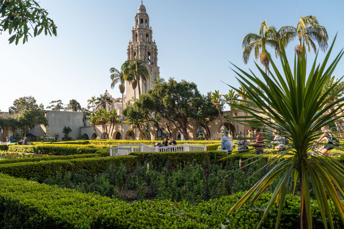 virtual-tours-available-now-for-museums-in-san-diego4