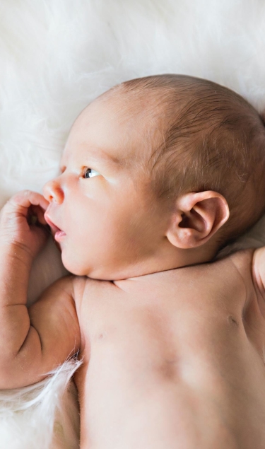newborn-baby-photographer-in-raleigh-1
