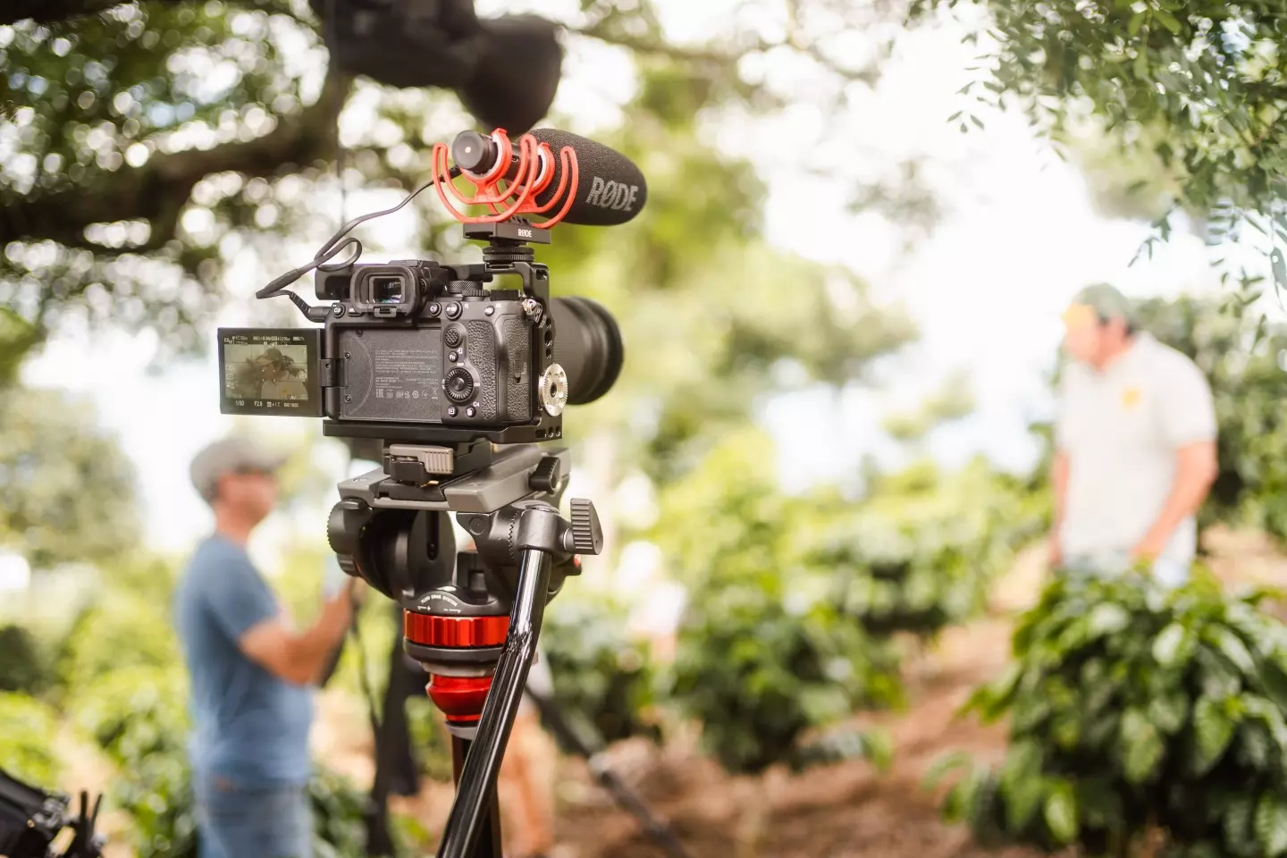 Documentary videographer near me