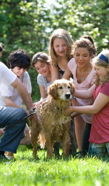 Best Family Photographer