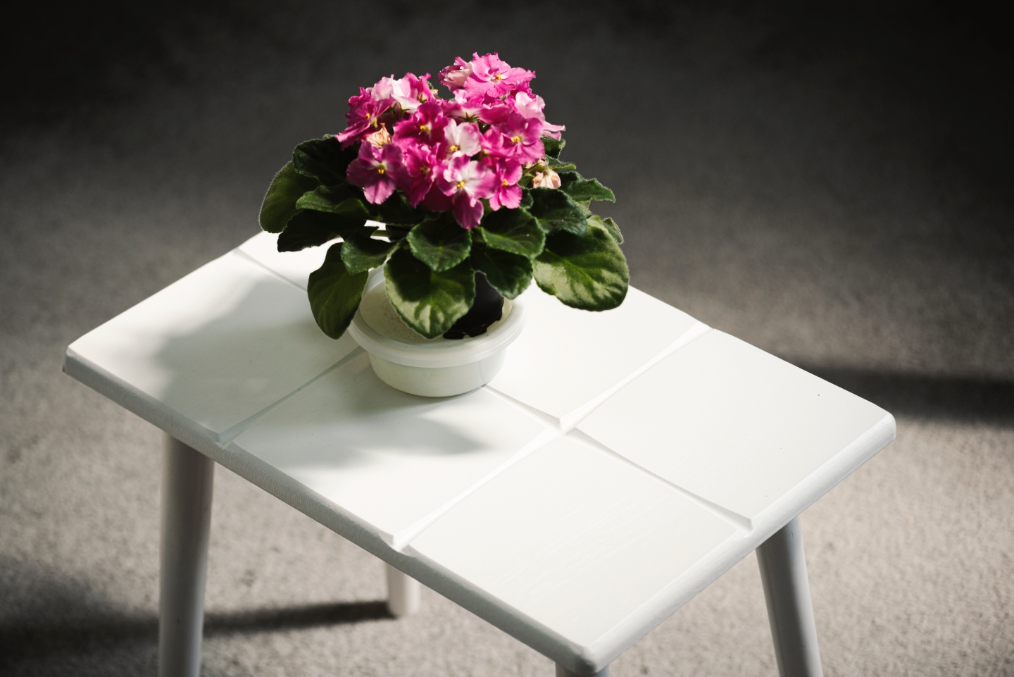Hire an Ecommerce Photographer in Cardiff