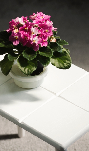 Hire an Ecommerce Photographer in Cardiff