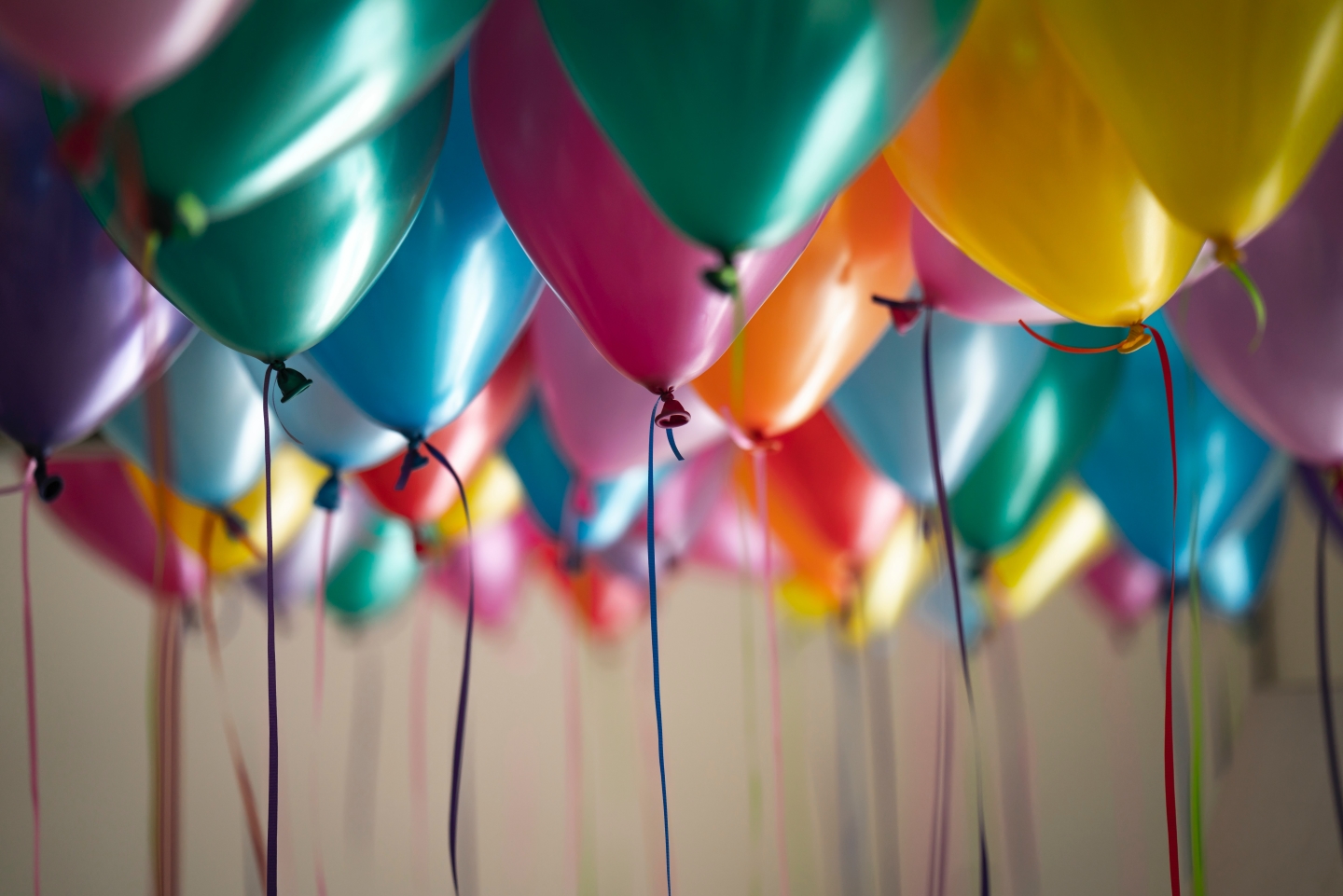Professional Event Photographers in Newcastle